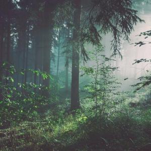 11月电子厂沟厕最新消息
